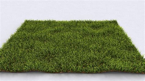 Realistic Grass In 3ds Max V Ray Fur 3ds Max Tutorials 3ds Max 3ds
