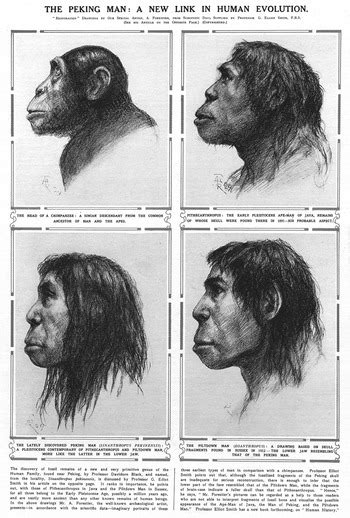 Sinanthropus In Britain Human Origins And International Science 1920
