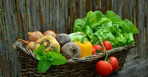 Lista de legumes e verduras de A a Z - Dúvidas de Português no Dicio