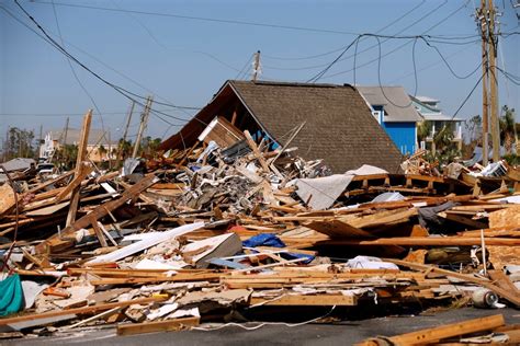 Roofs Peeled Away Homes Split Open By Fallen Trees See Hurricane