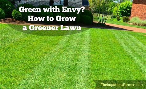 10 Easy Steps To A Perfect Lawn Healthy Lawn Care Tips