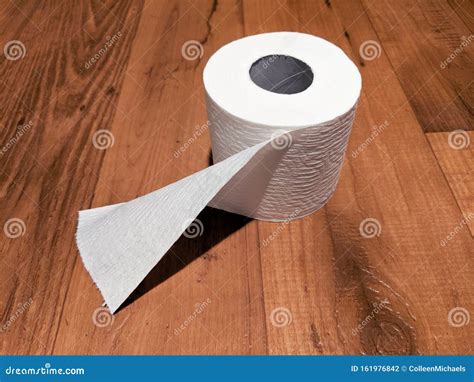 Slightly Unrolled Toilet Paper Roll On Wood Floor Stock Photo Image