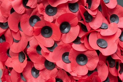When Should You Stop Wearing A Poppy Metro News