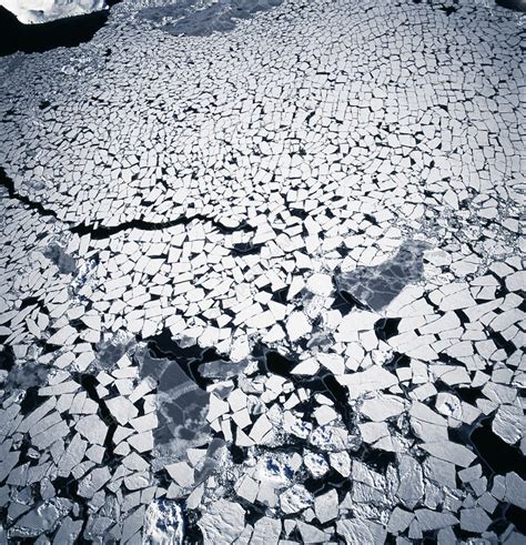 Ice Floes In The Arctic Ocean Stock Image E2250116 Science Photo