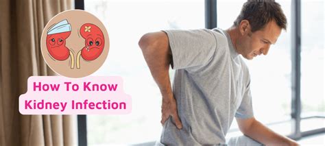 How To Know About Kidney Infection Symptoms And Causes