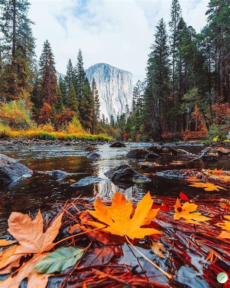 Yosemite National Park 🇺🇸 By Glennleerobinson Via Instagram Beautiful