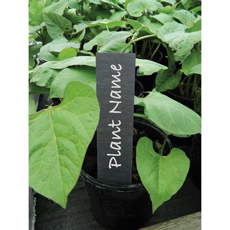 slate plant labels permanent plant plabels labels n things