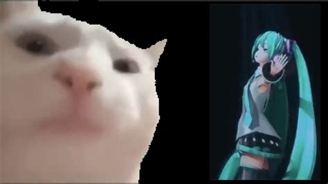 Cat Vibing Meme Hatsune Miku Edition Levan Polka Youtube