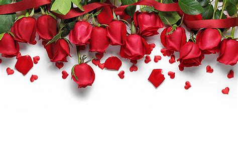 Romantic Red Roses Background Red Romantic Rose Background Image For