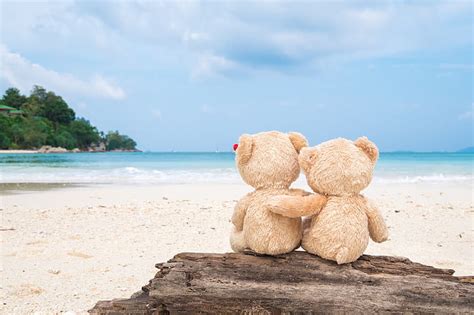 Hd Wallpaper Couple Teddy Cute Love Bear Romantic Sweet