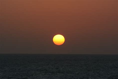 Filea Rising Sun