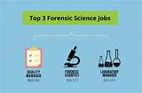 Forensic Science Bachelor Degree Programs