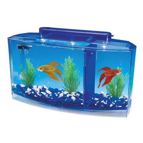 This tank has everything you expect from the fluval spec series. Betta Bow Front 1-2-3 Tank Kit - 0.7 gal. | Betta tank ...