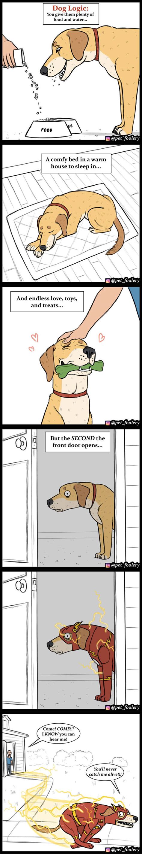 “pet Foolery” Has Some Of The Best Animal Comics For You 30 Pics