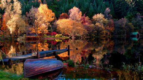 The Autumn Lake Forest Morning Wallpaper 1920x1080 Full Hd Resolution