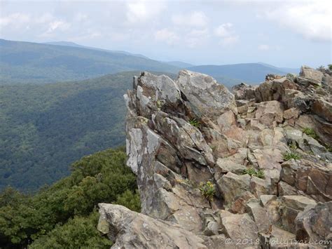 Sights From Hawksbill Mountain In Shenandoah National Park