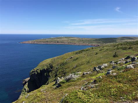 Newfoundland Wallpapers Wallpaper Cave