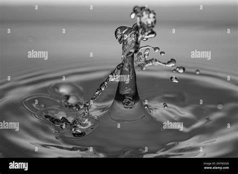 Macro Photography Water Drops Photographed With Pluto Trigger Stock