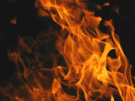 Free Images Flame Fire Campfire Bonfire Inferno Burn Flaming Font Blaze Flames Fiery