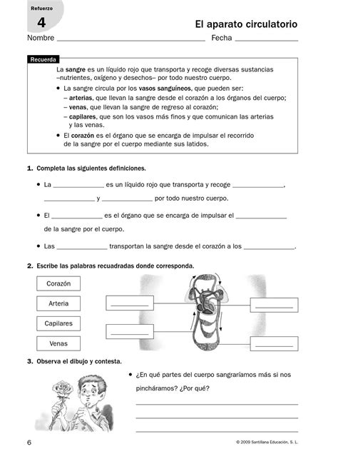 Fichas De Refuerzo Y Ampliación 6º By Josepe Josepe Issuu