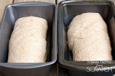 I want this to be a place where you can share recipes you have made from tbfs or share your own favorite. Honey Whole Wheat Bread - Tastes Better From Scratch
