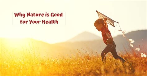 Why Nature Is Good For Your Health The Importance Of Nature Stability