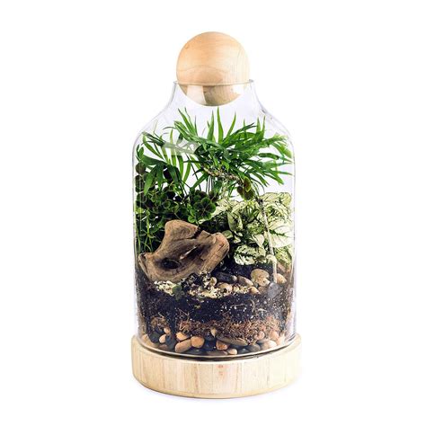 Your kit comes complete with succulent terrarium plants, a guide on how to make a terrarium, sand, lava rocks, potting mix, and glass bowl. The Lucky Gardener DIY Terrarium Kit | make a terrarium | UncommonGoods