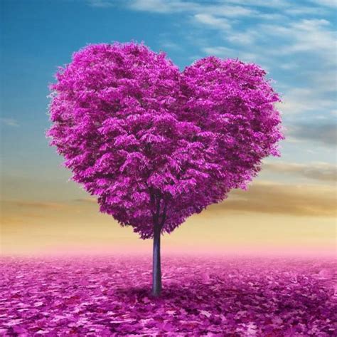 Purple Heart Tree Purple Heart Shaped Tree Valentines Pinterest