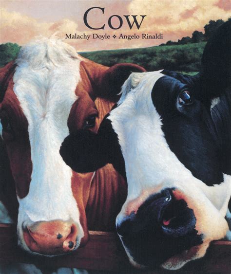 Cow Book By Malachy Doyle Angelo Rinaldi Official Publisher Page