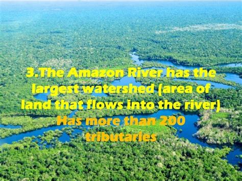 8 facts on amazon river