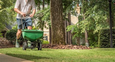 How To Overseed A Lawn The Ultimate Guide Uk Lawn Care Pro