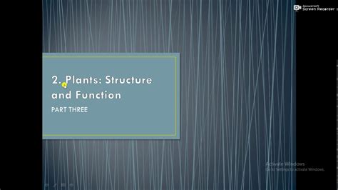 Std 7th Subject Science Lesson 2 Plants Structure And Function Part