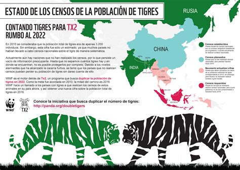 Día Mundial Del Tigre 2014 Desconocida La Población Mundial Del