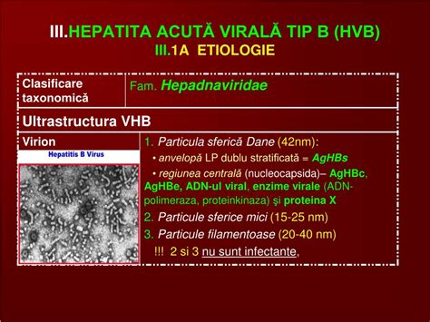 Ppt Hepatite Acute Viral E Hav Powerpoint Presentation Free Download Id