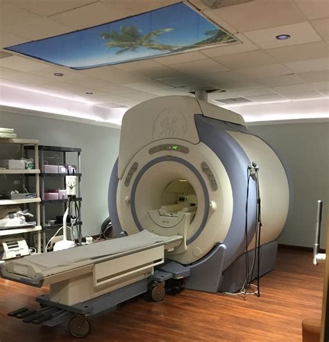 What Realize About An Mri Scan Ruse Global