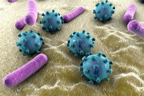 Bacteria And Viruses Illustration Stock Illustration Illustration Of