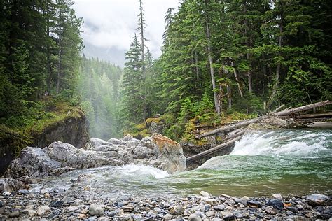 Types Of Forests Found In Canada Worldatlas