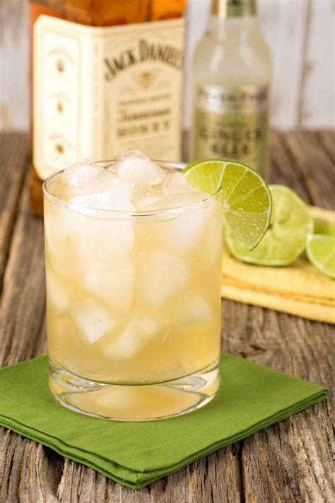 This link is to an external site that may or may not meet accessibility guidelines. Tennessee Honey Cocktails Recipe | MyGourmetConnection