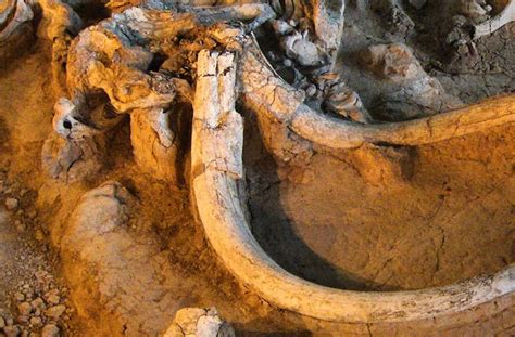 Quarry Workers In Russia S Urals Uncover Mass Prehistoric Graveyard