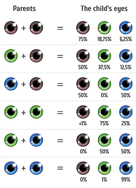 Baby Eye Color Chart Writing References Pinterest Baby Vans How To