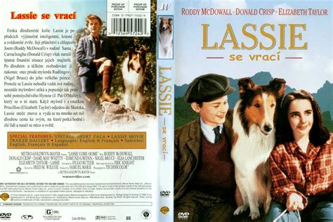 covers box sk lassie come home 1943 high quality dvd blueray movie