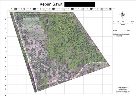 Jasa Pemetaan Lahan Tambang Kebun Sawit Dan Foto Udara Uav Raw Data