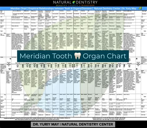 Tooth Body Connection Tooth Meridian Chart