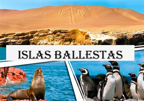 Calaméo Catalogo Islas Ballestas
