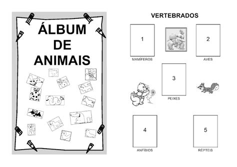Álbum De Animais Atividade Lúdica Sobre A Classificação Dos Animais