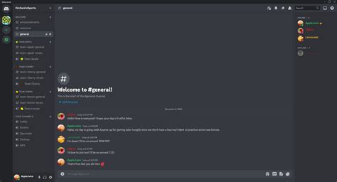 Advanced Community Server Setup Discord