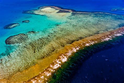 Patrimonio De La Humanidad Lagunas Y Arrecifes De Coral De Nueva