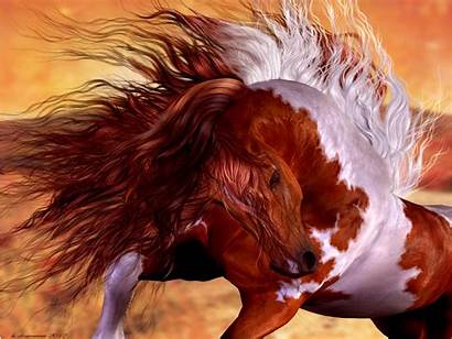 Horse Horses Paint Wild Wallpapers Animals American