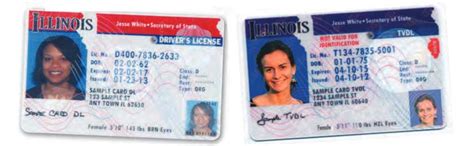 Illinois Temporary Visitor Drivers License