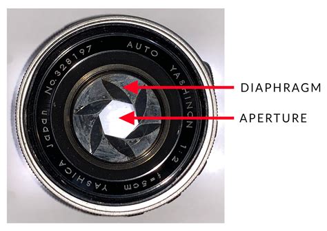 What Is Aperture In Photography Key Concepts Explained